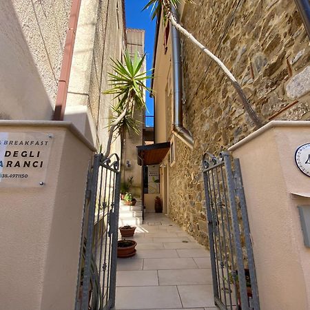 B&B Degli Aranci Palinuro Εξωτερικό φωτογραφία